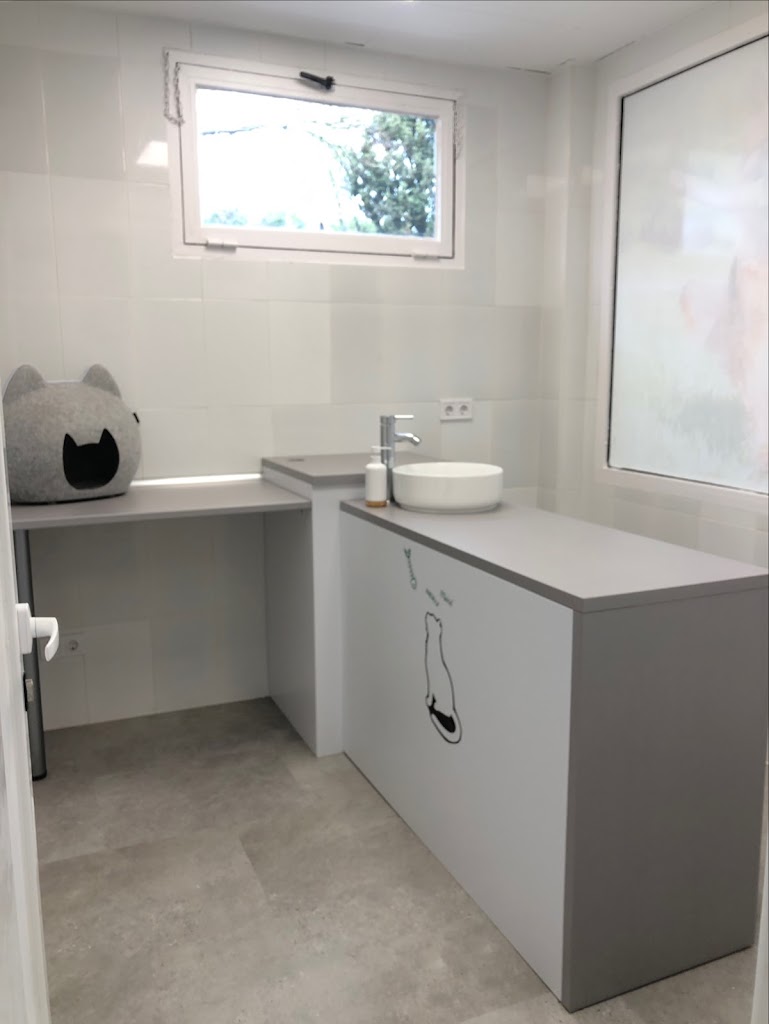 Clinica Veterinaria Rio Manzanares — Mas recientes