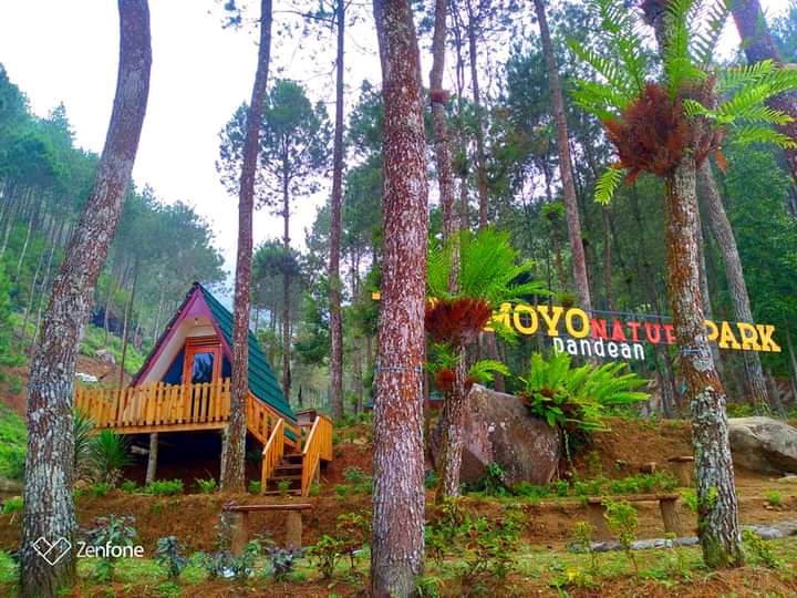 Camping ground & Outbound