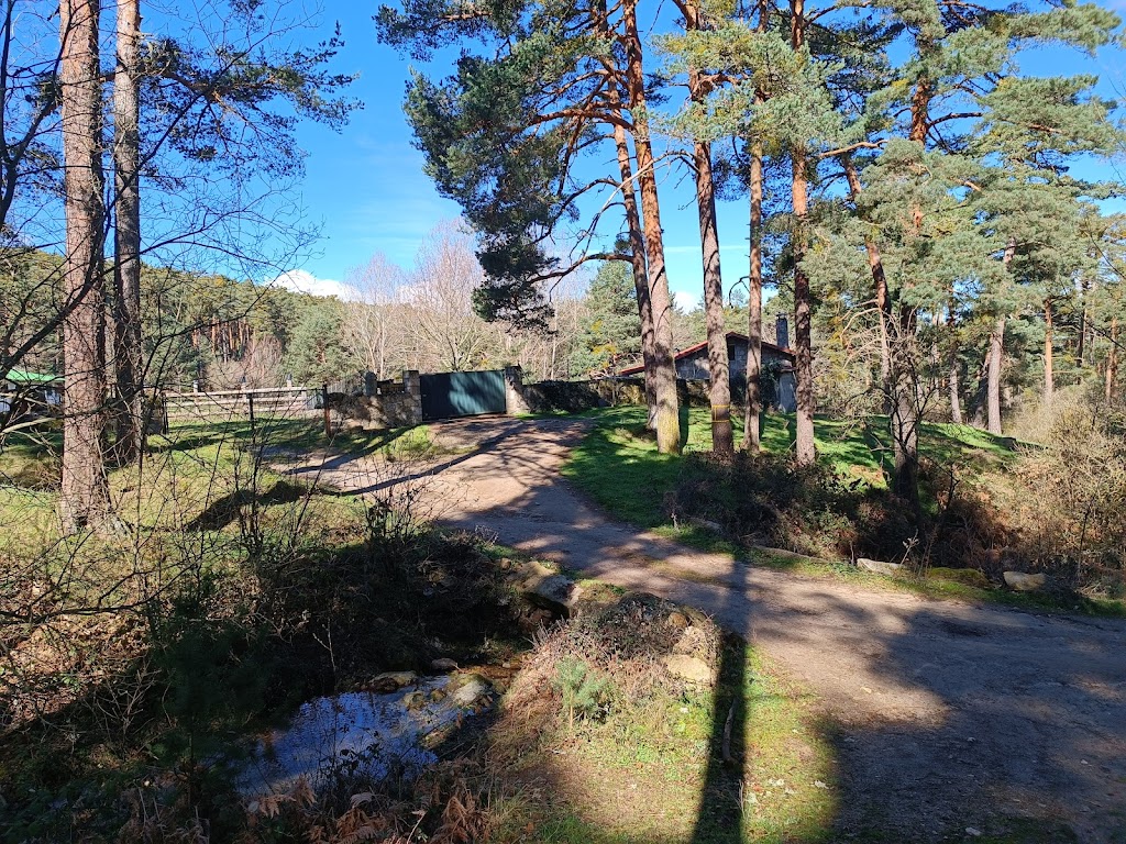 Camino de la pena del aguila.