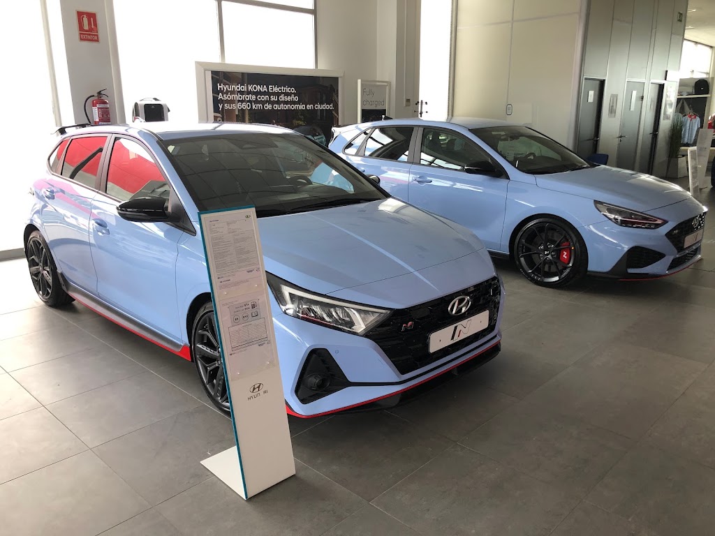 Hyundai Cerverauto — Del propietario