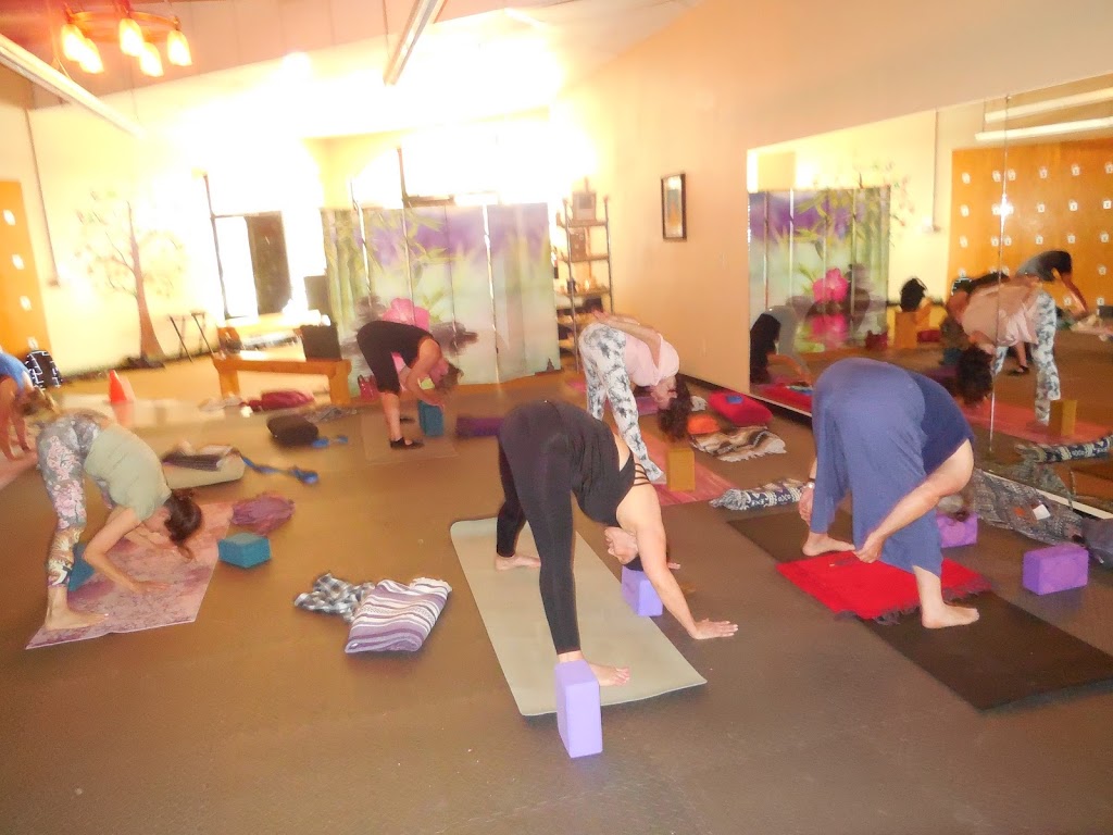  SoulBody Yoga and Wellness