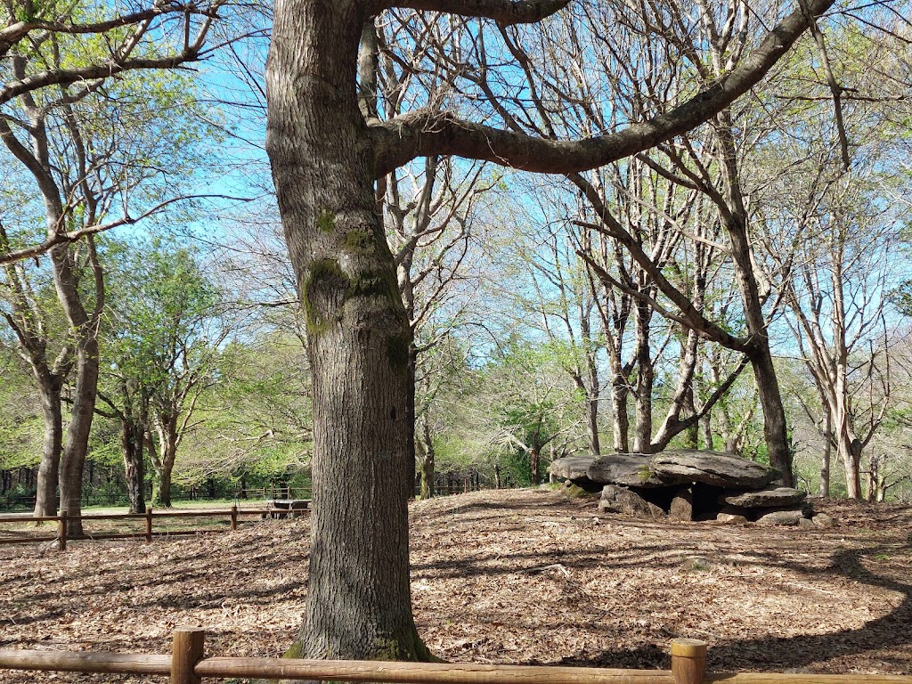 Mamoa Chan da Arquina