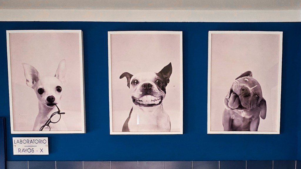 Centro Veterinario Equus Can