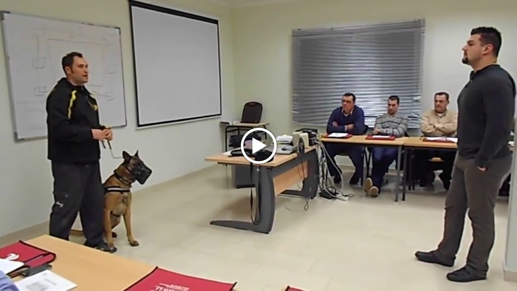 Centro de Formacion Fergos — Videos