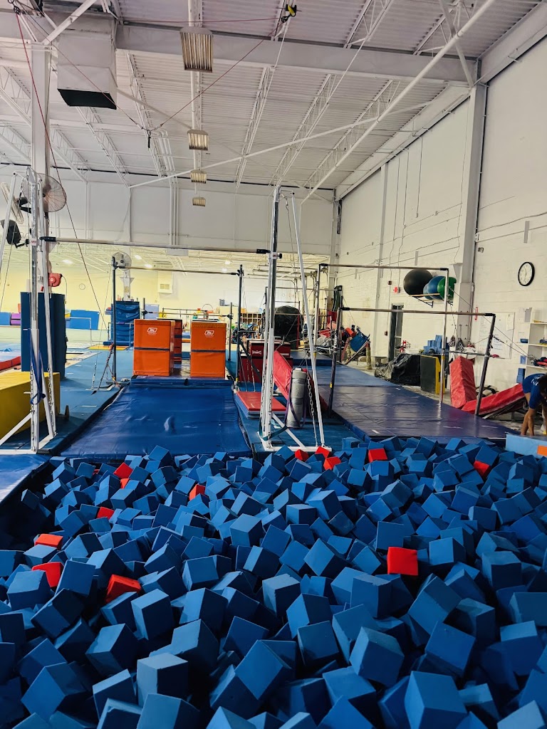  Warriors Academy of Gymnastics