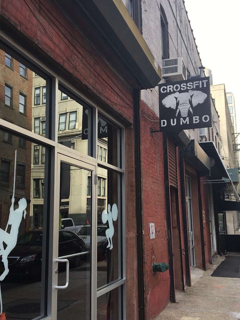  Dumbo Fitness