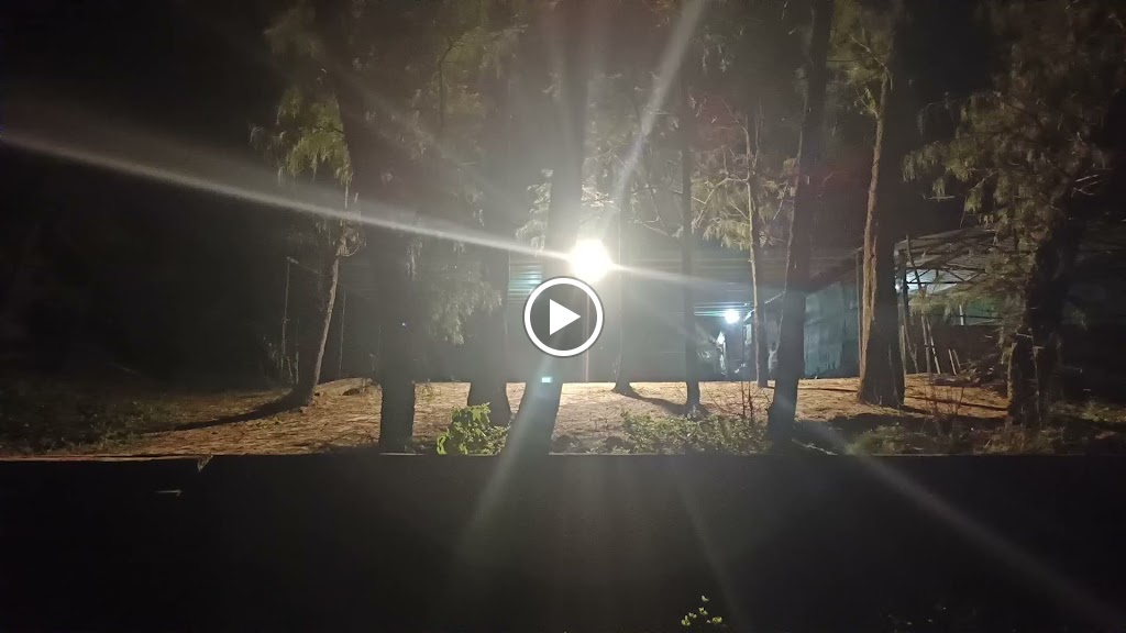 Videos