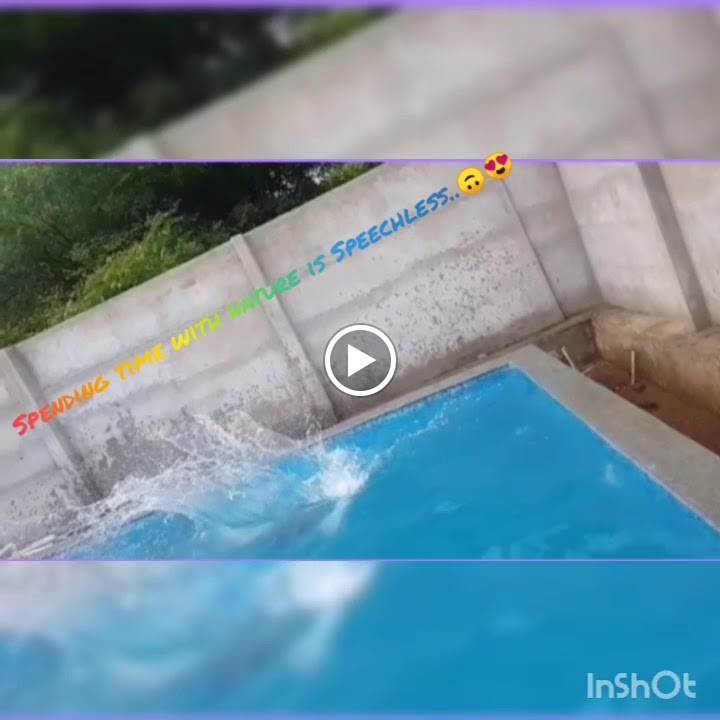 Videos