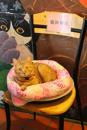 小貓花園 CAFE' & CATS 1998 的照片