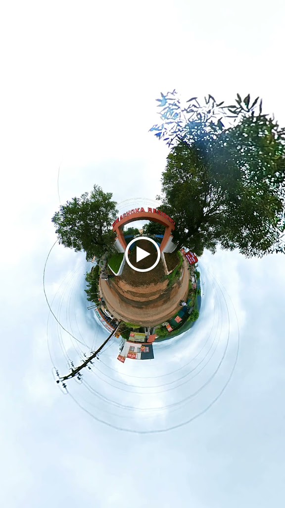 Videos