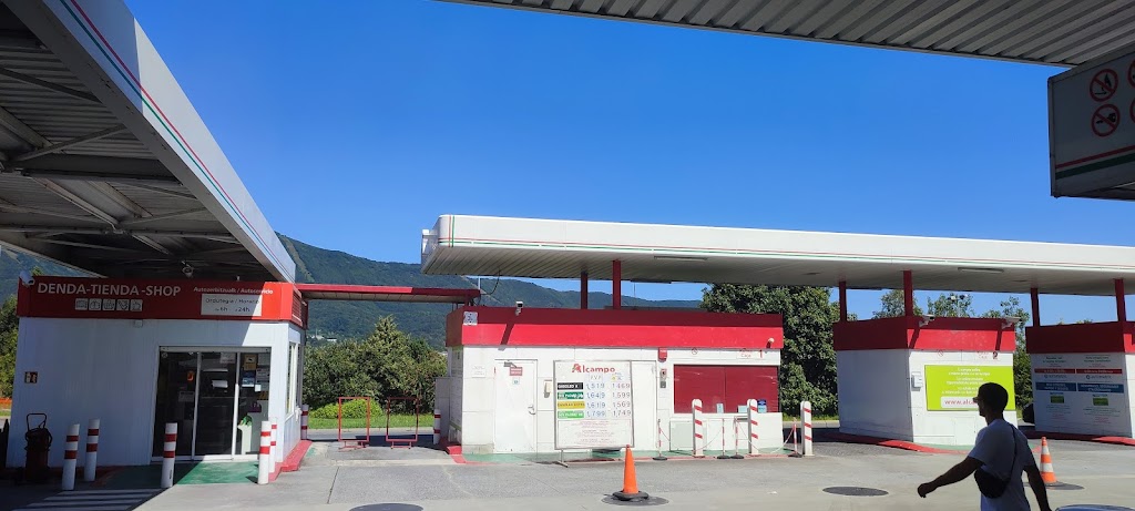 Gasolinera Alcampo