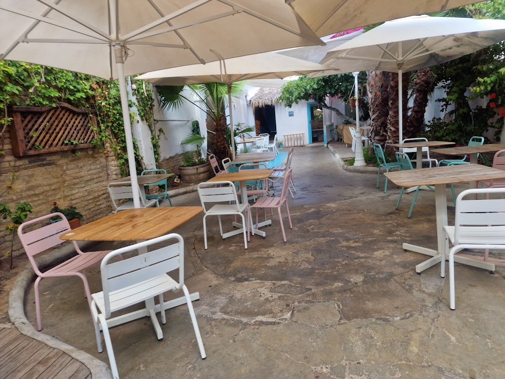 La Mas Bonita Patacona