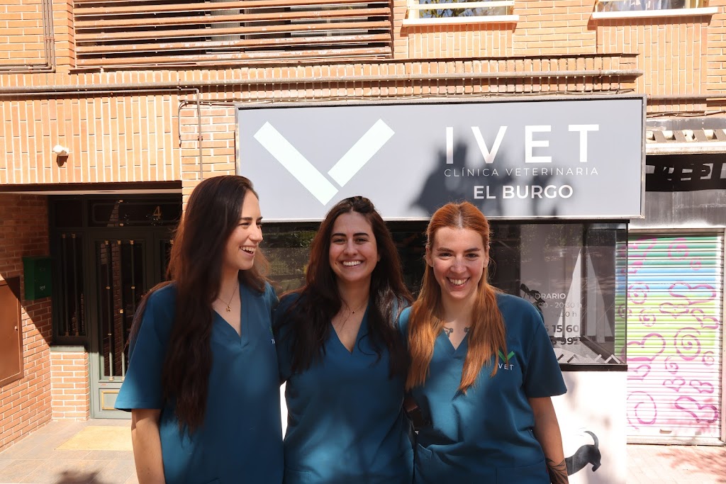 IVET Clinica Veterinaria El Burgo