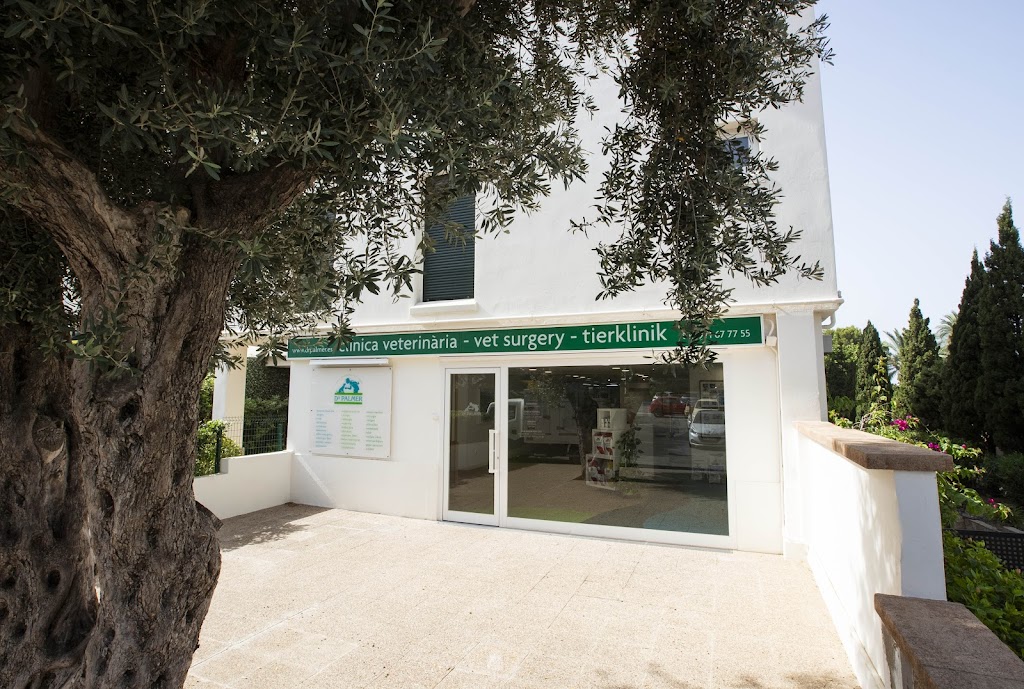 Clinica Veterinaria Dr. Palmer