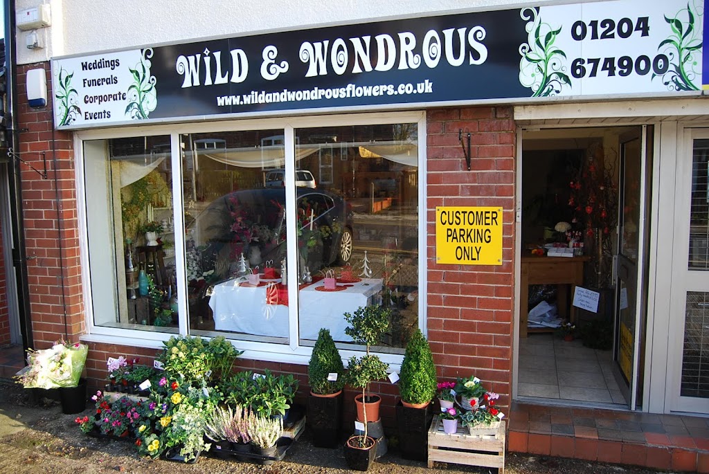 Wild & Wondrous Flowers