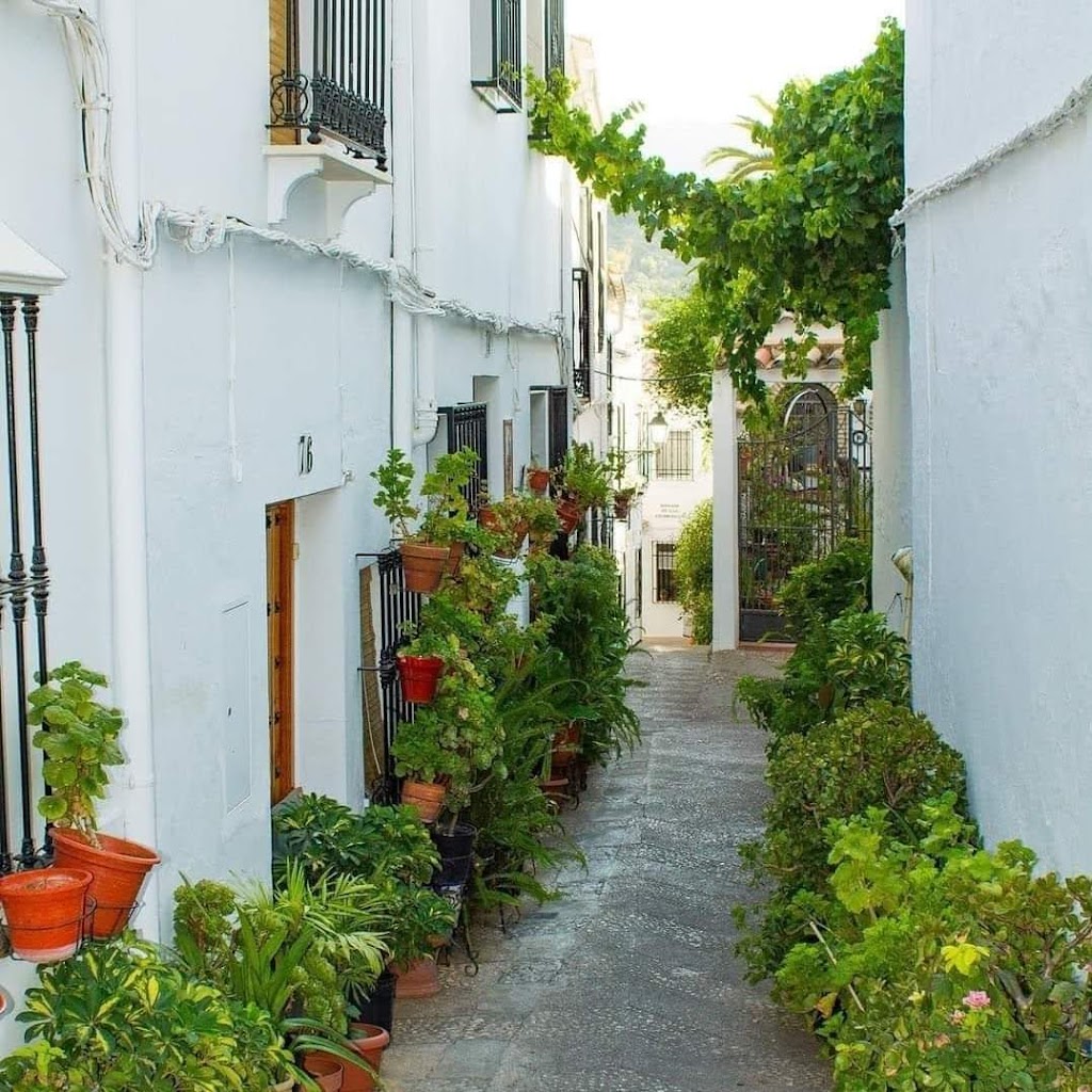 EL HECHIZO DEL BAILON