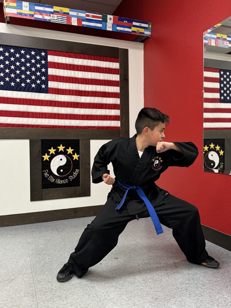  Karate Five Star Alliance Studios