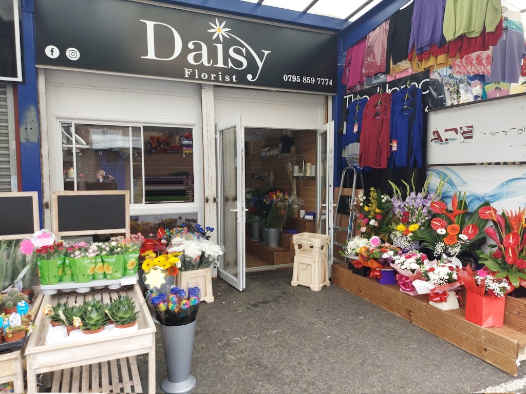 Daisy Florist