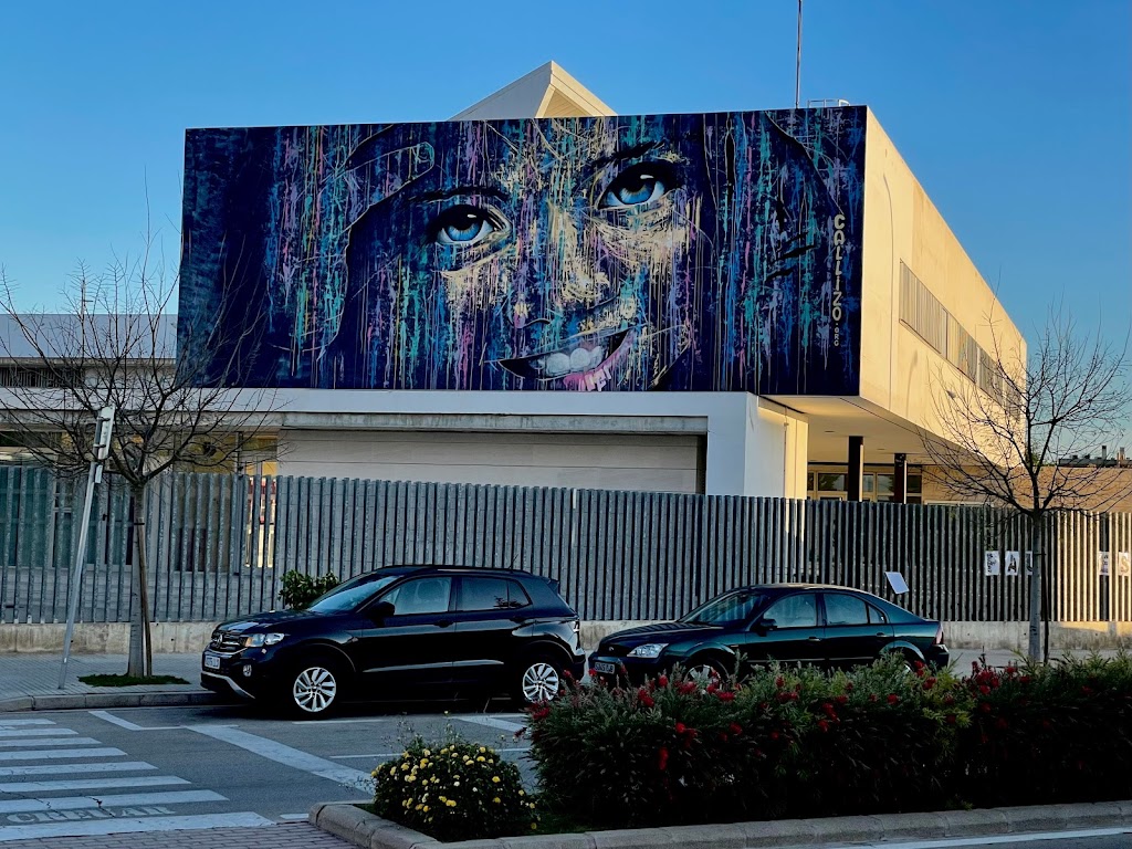 Colegio Botanic Cavanilles