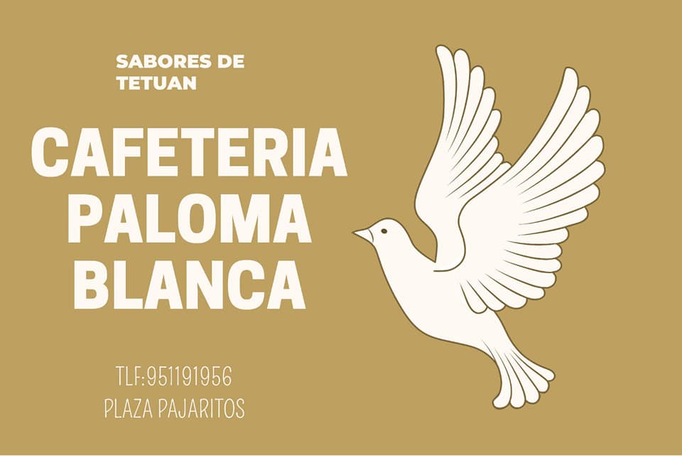 BAR PALOMA BLANCA — Del propietario