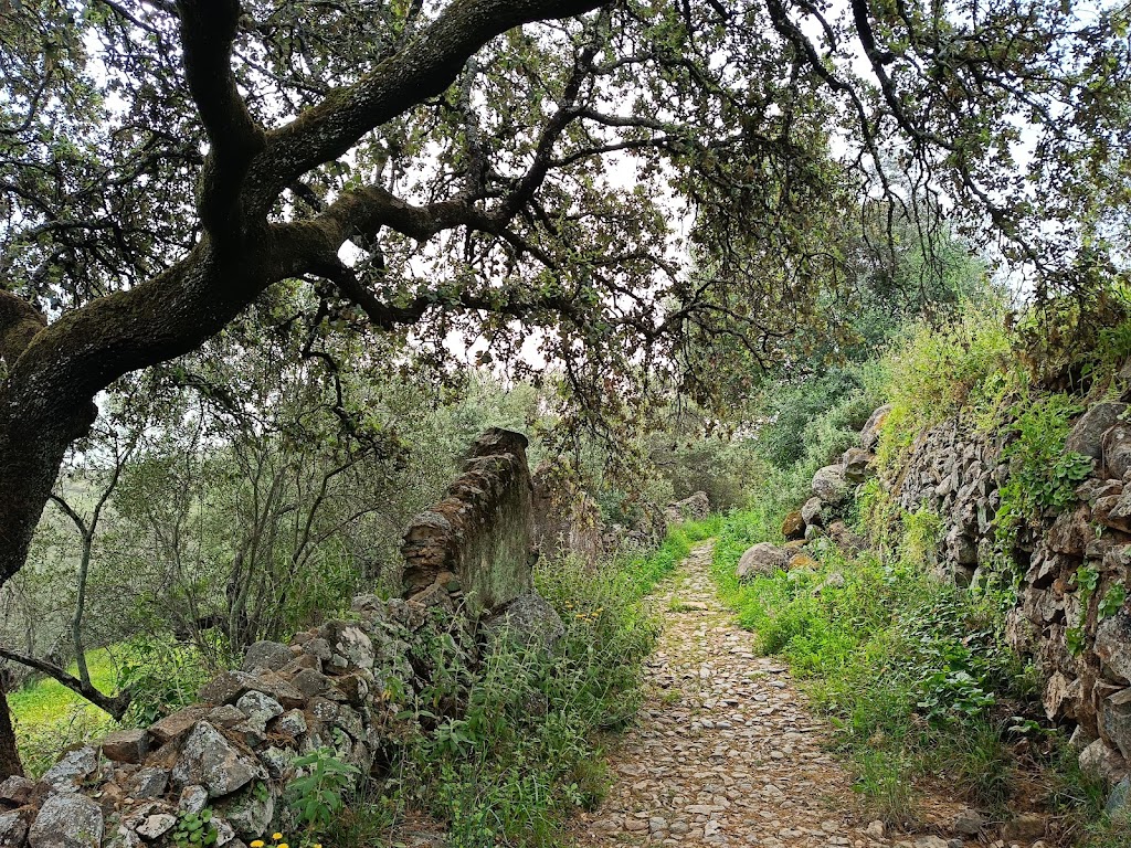 Sendero Los Callejones