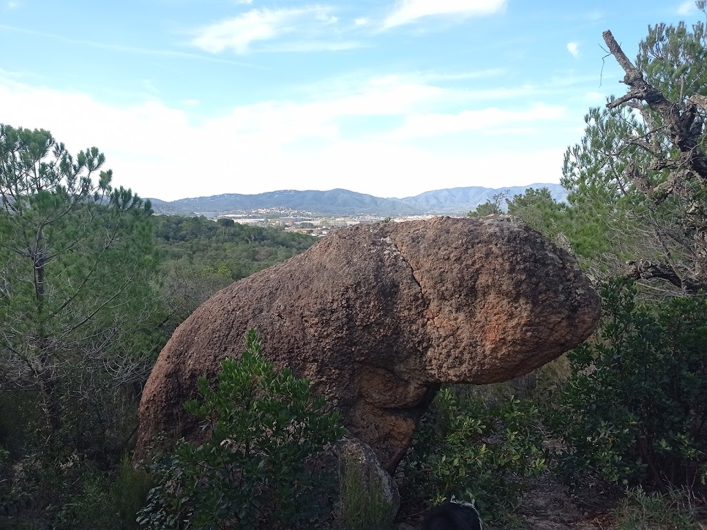 El drac de pedra