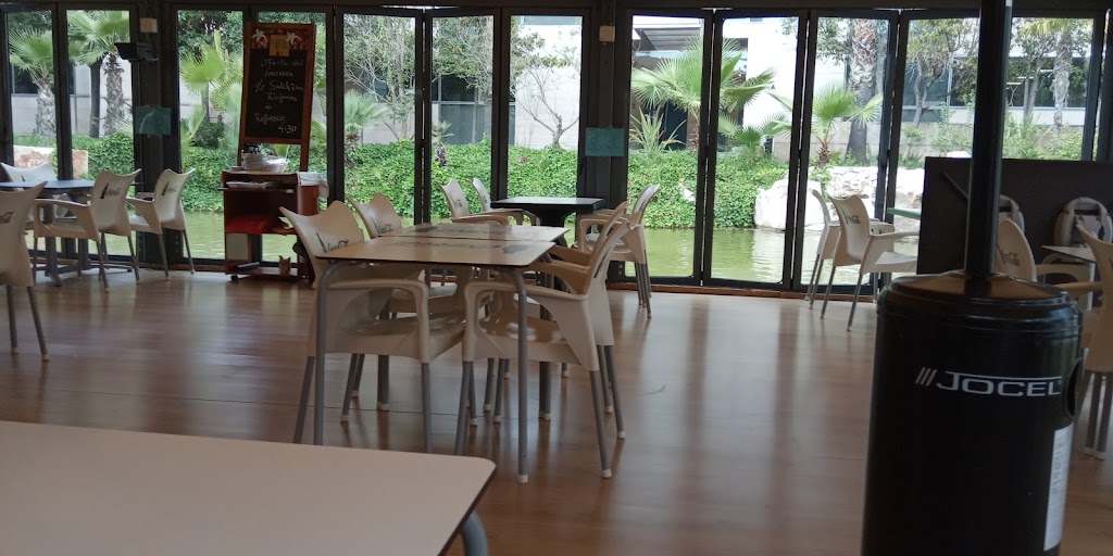 Restaurante City Park — Ambiente