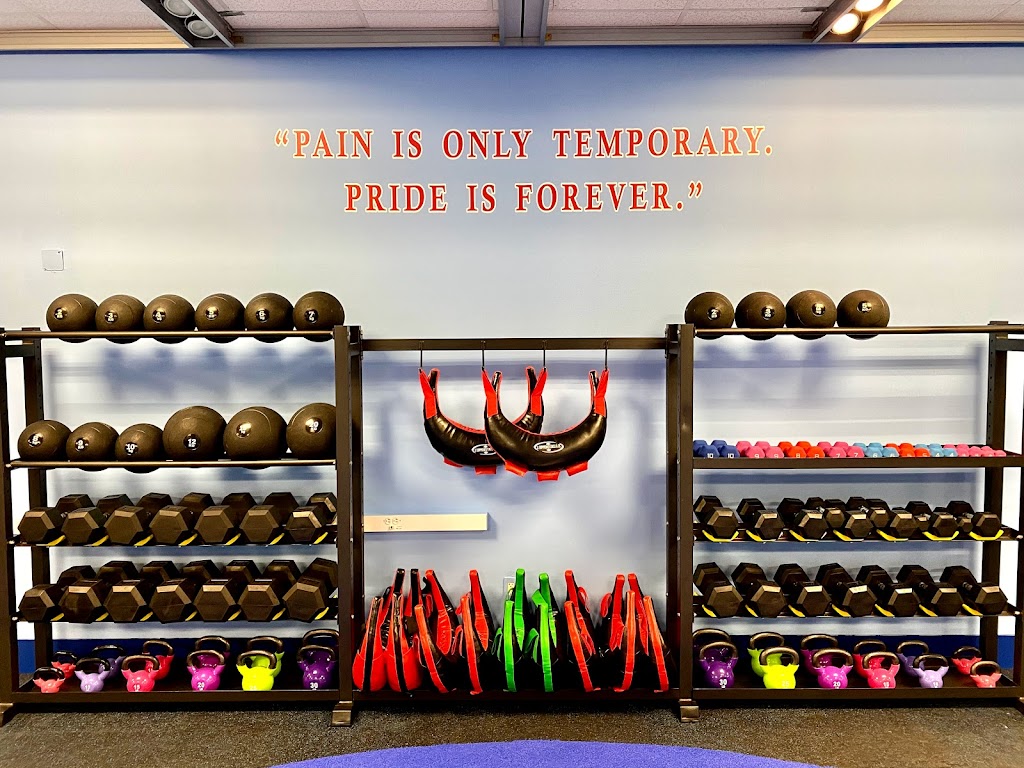  J. Luppino Fitness & Co. LLC