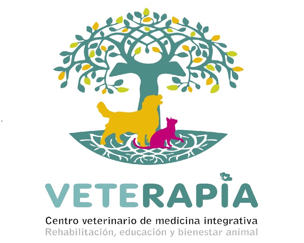 VETERAPIA-Centro de veterinaria integrativa, rehabilitacion, educacion y bienestar animal. — Mas recientes