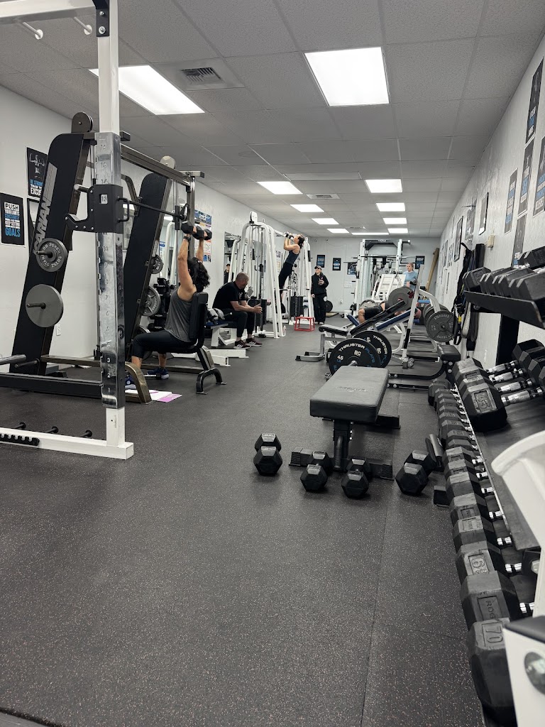  Shane Early Nutrition & Training