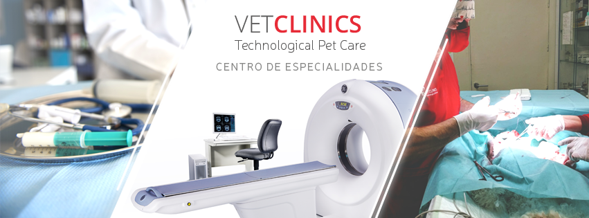 VetClinics Teulada — Del propietario