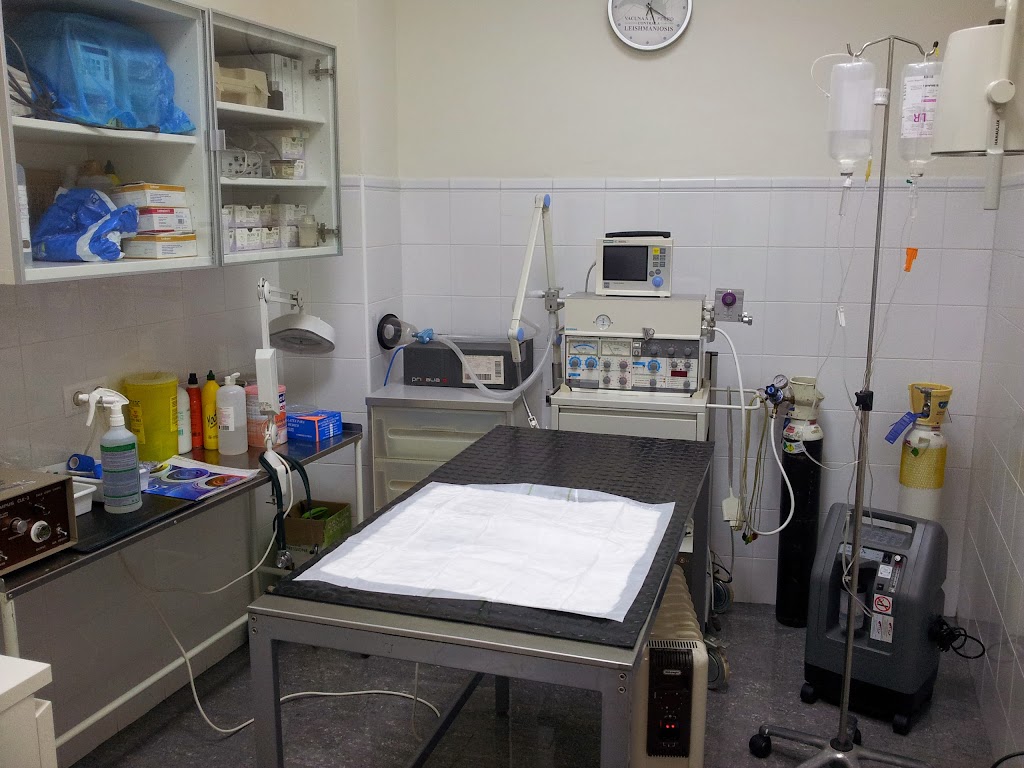 Clinica Veterinaria Manuel Garcia Izquierdo