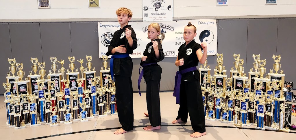  Black Dragon Martial Arts