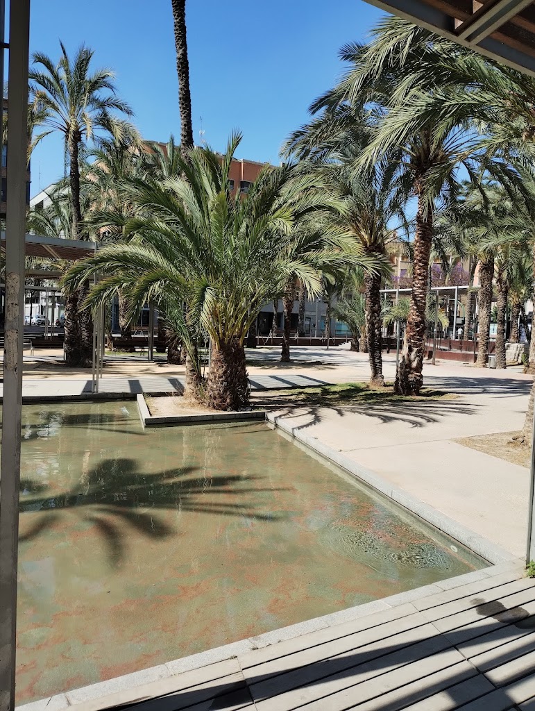 Ruta del Palmeral:Tramo de jardin de Porta de la Morera
