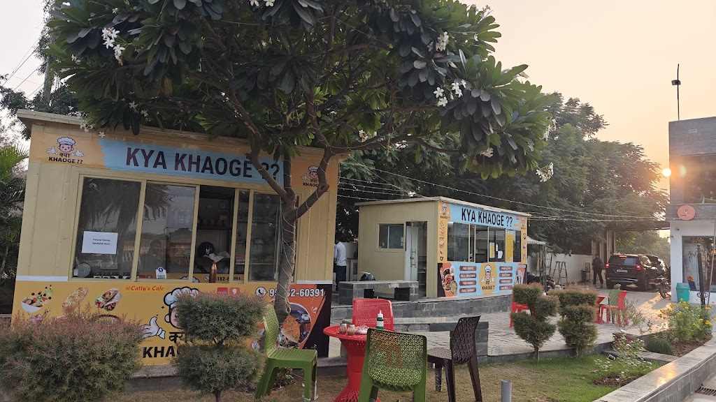 Wow Foods Charcoal Shawarma