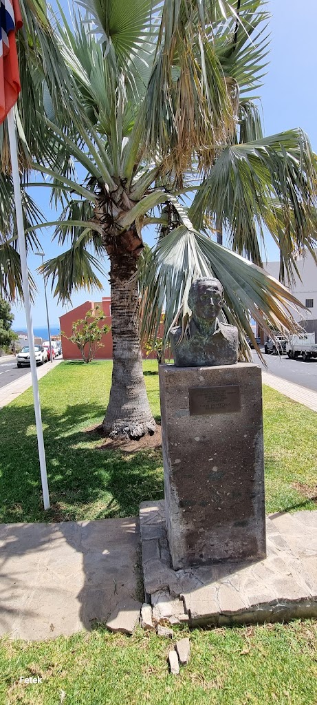 Busto Thor Heyerdahl