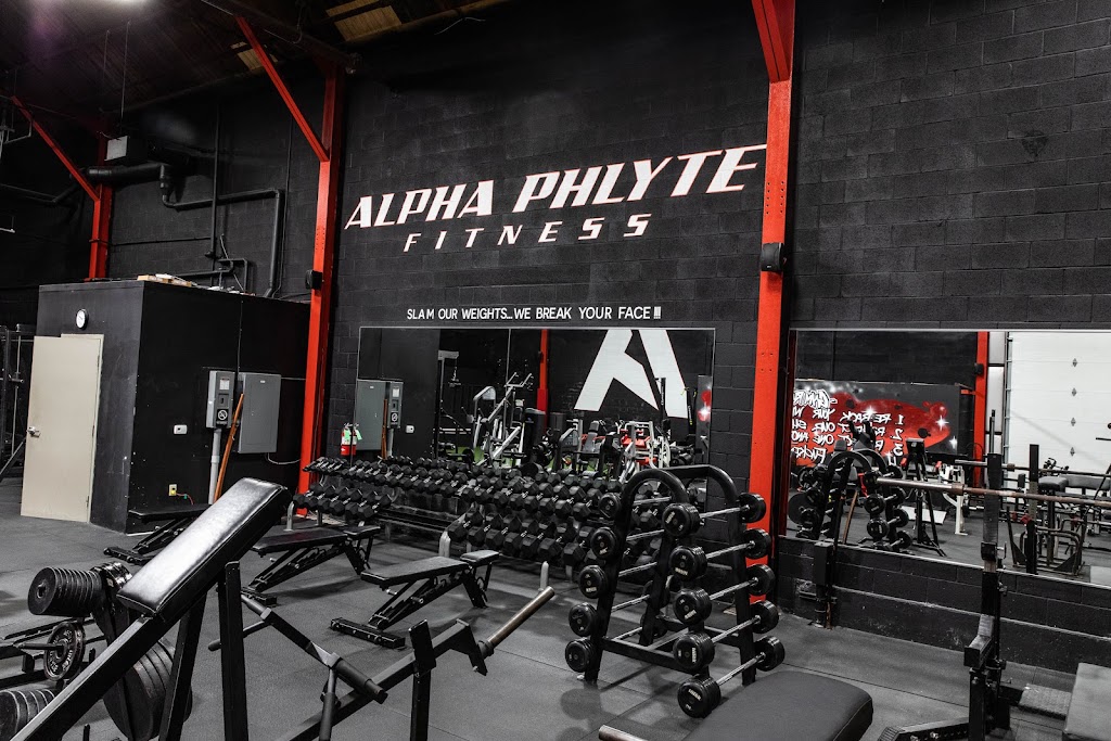  Alpha Phlyte Fitness Downingtown