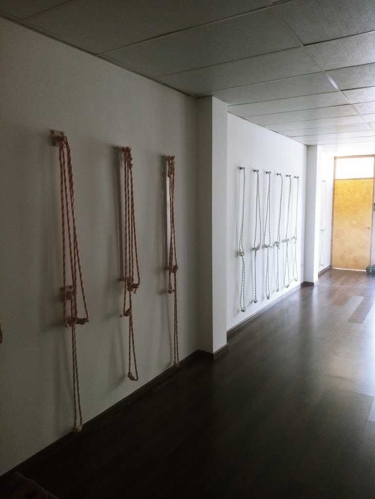 Centro Yoga Sudhamani