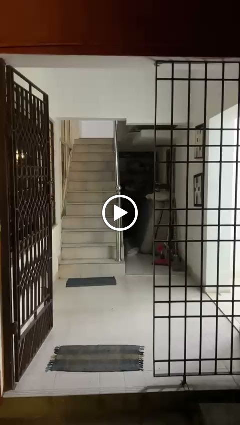 Videos