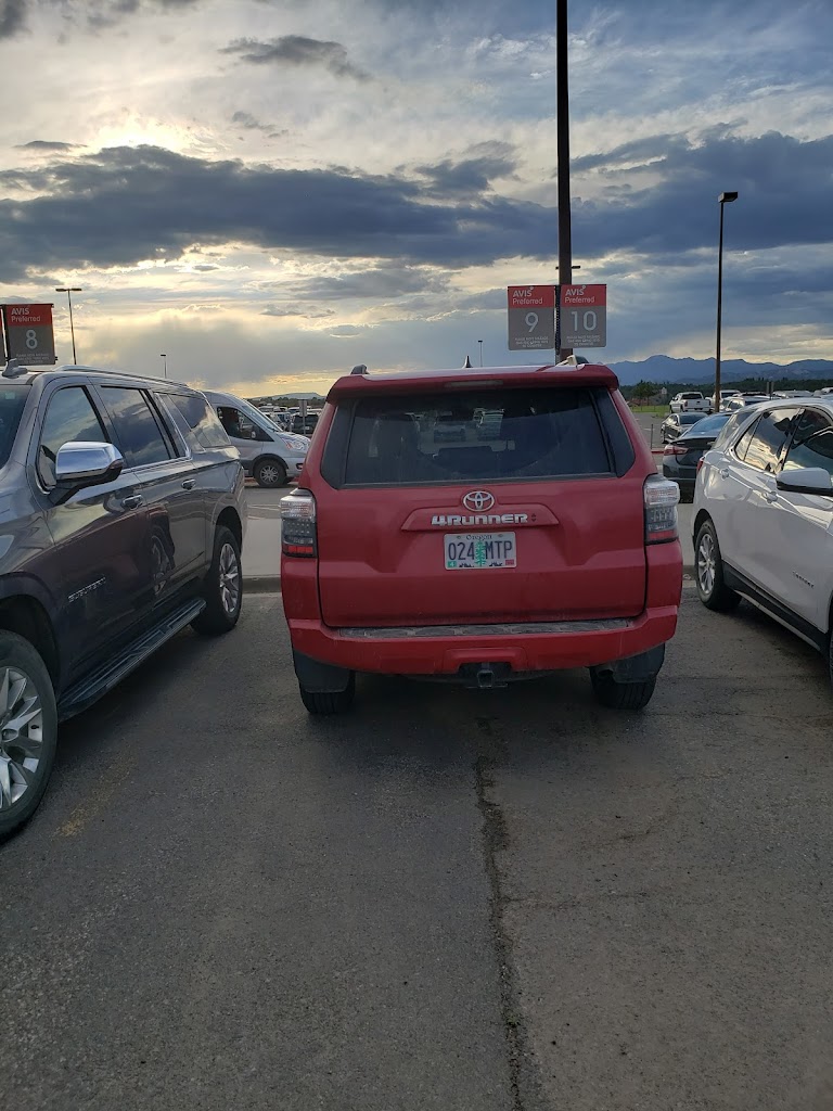 Avis Car Rental