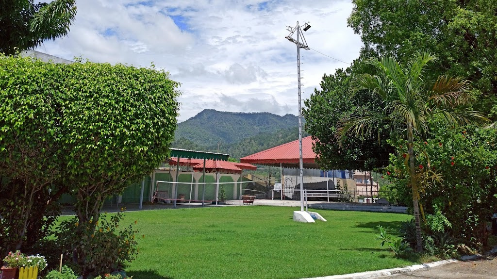 Hotel Green House