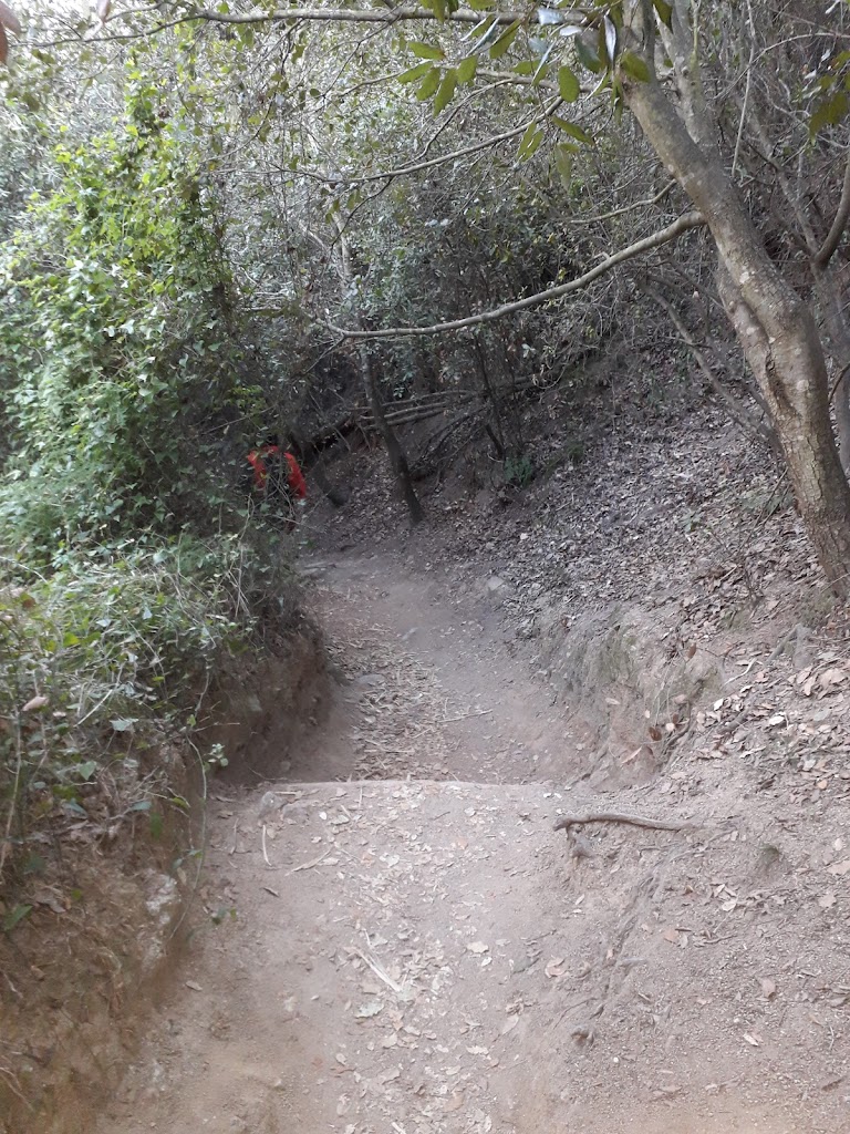 sendero de la fuente del Amigo....(inicio del)