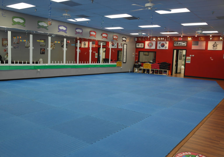  MASTER SHIM'S WORLD CLASS TAE KWON DO