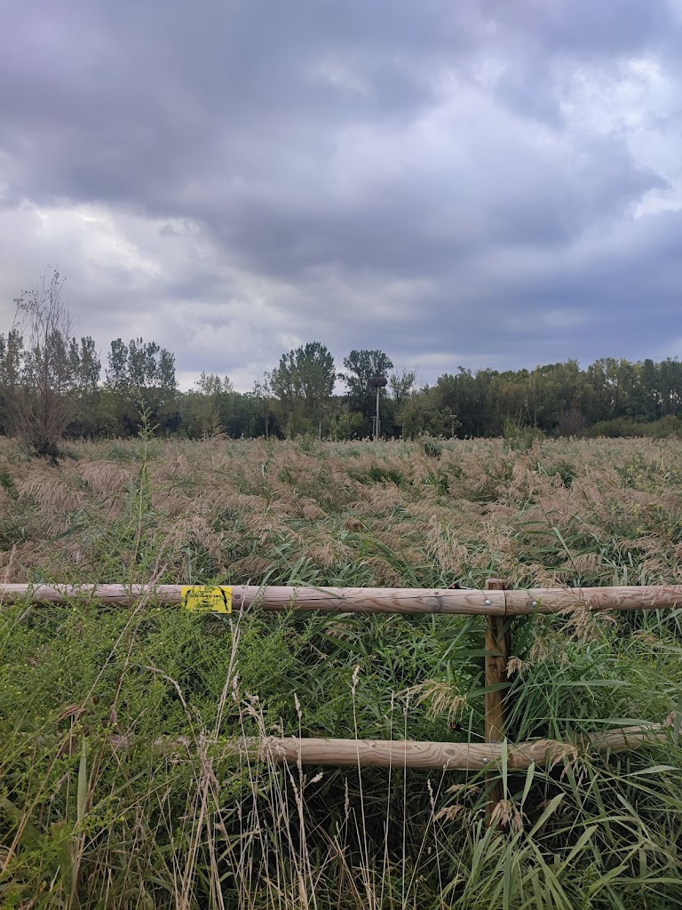 Paraje de las ciguenas