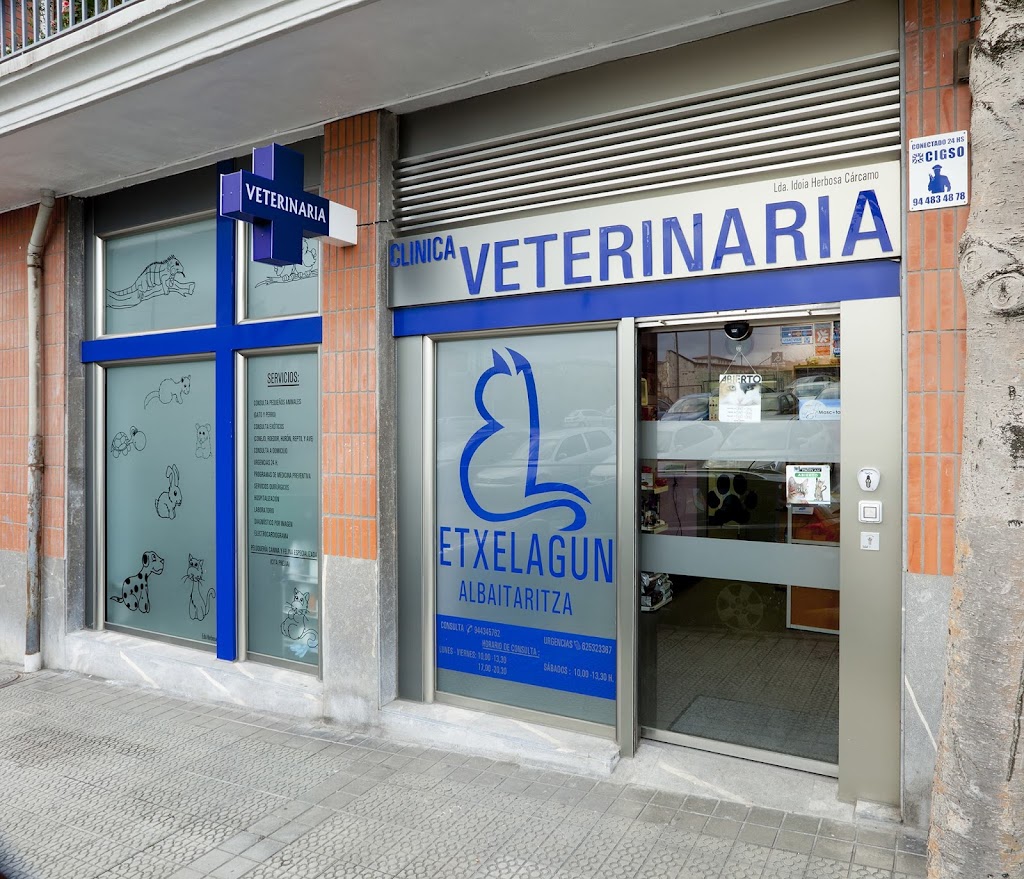 Clinica Veterinaria Etxelagun