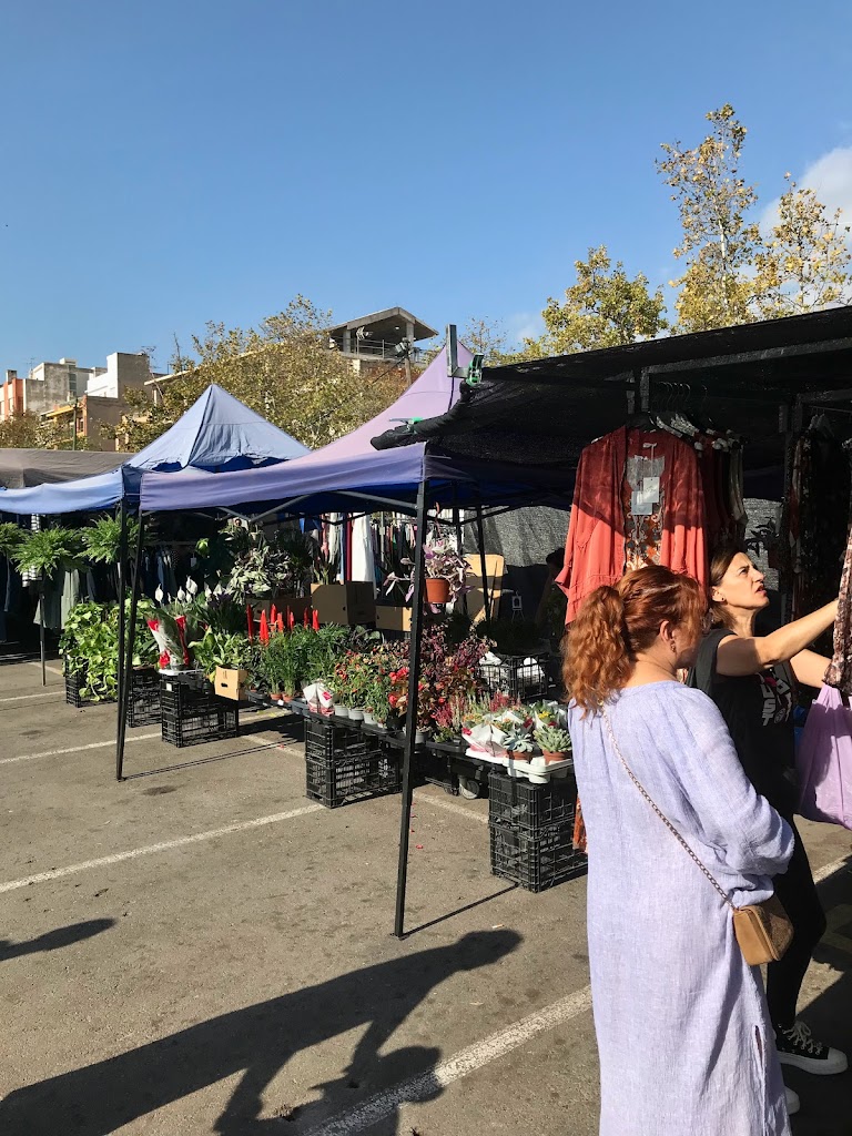 Parking de discapacitados