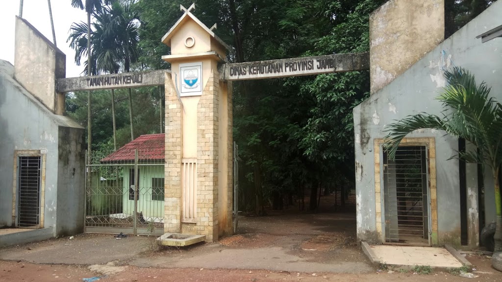 Pine Forest PAL X, Jambi