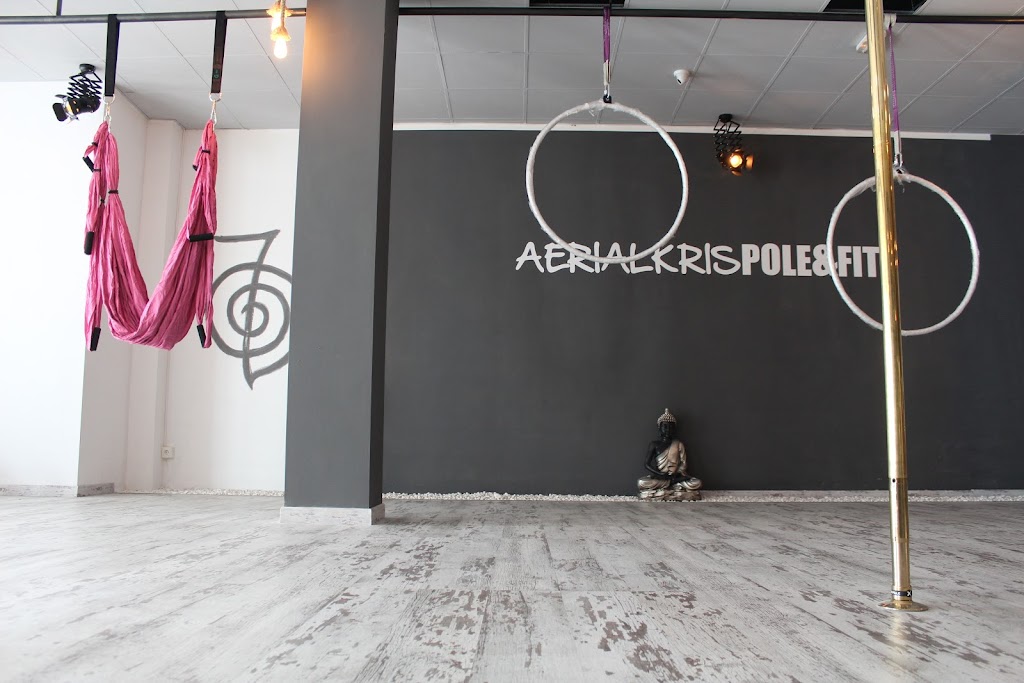Aerial Kris Pole&fit