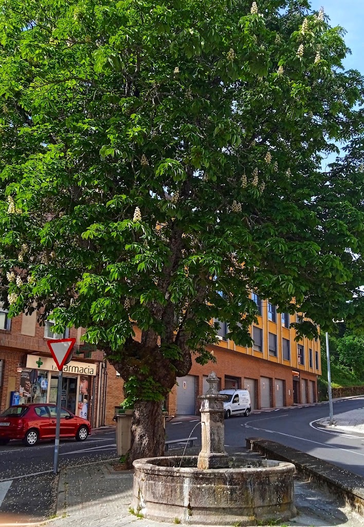 Ana Belen Nieto Hernandez