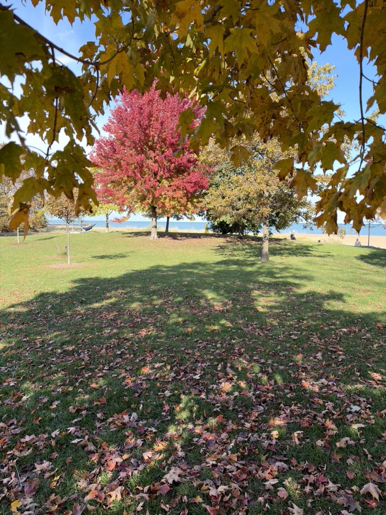  Phoenix Yoga Project